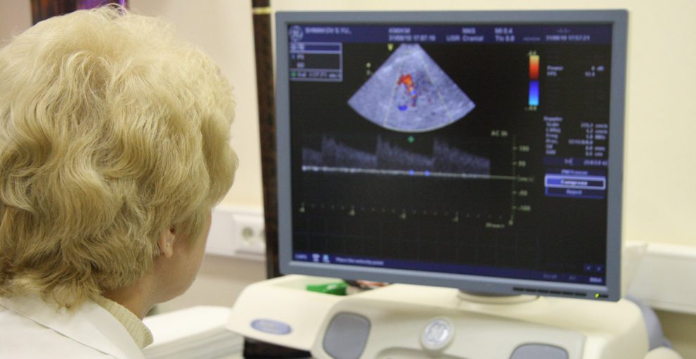 How to find a job in the health sector